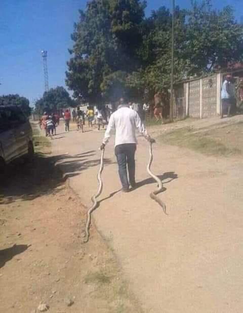 Malawi man turns attackers into snakes